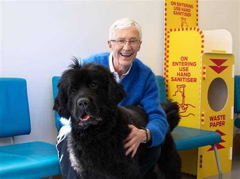 battersea dogs home donation|Paul O’Grady’s Battersea Dogs & Cats Home tribute fund passes .